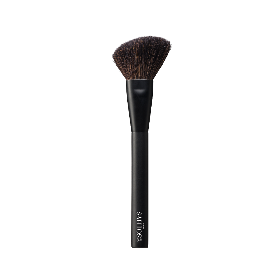 Blush brush poskipunasivellin Eurocosmetics